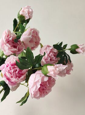 芙蓉牡丹手感保湿高品质假花仿真花摆设新中式客厅花艺摆件装饰品