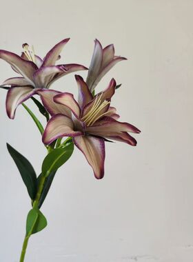 新品百合花仿真花假花绢花可水洗新星百合餐桌花摆件客厅婚庆装饰