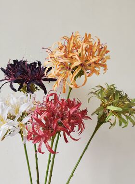 仿真花百子莲非洲百合婚庆拍摄 家居婚庆样板房装饰配材摄影道具