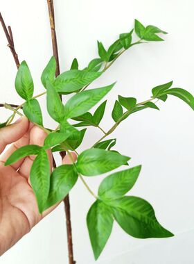 品质手感网红室内绿植小森林火焰南天竹吊钟马醉木装饰仿真叶树枝