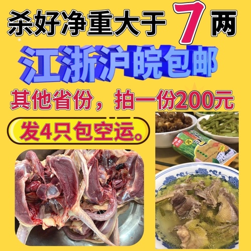 鸽子肉新鲜现杀包邮农家散养土鸽子煲汤味道优先于乳鸽2只装生鲜