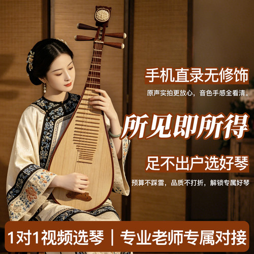 星海琵琶非洲紫檀花梨木考级演奏专用成人花梨专业民族乐器8912-2 - 图0