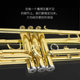 Jinbao genuine trumpet beginner band recommendation