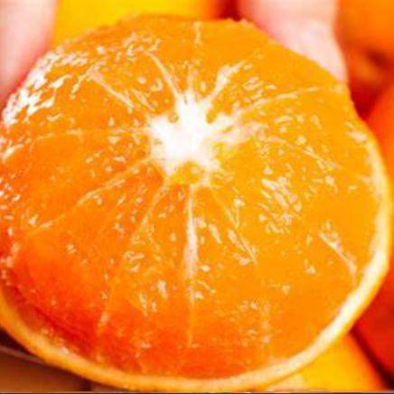 正宗四川红美人柑橘新鲜当季薄皮水果桔子爱媛28号果冻橙子礼盒装,淘宝优惠券,粉丝福利购,淘宝优惠卷