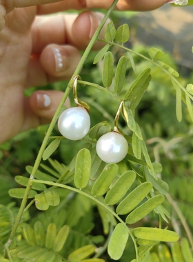 高级钻石光 10mm天然淡水珍珠高跟鞋耳勾耳钉