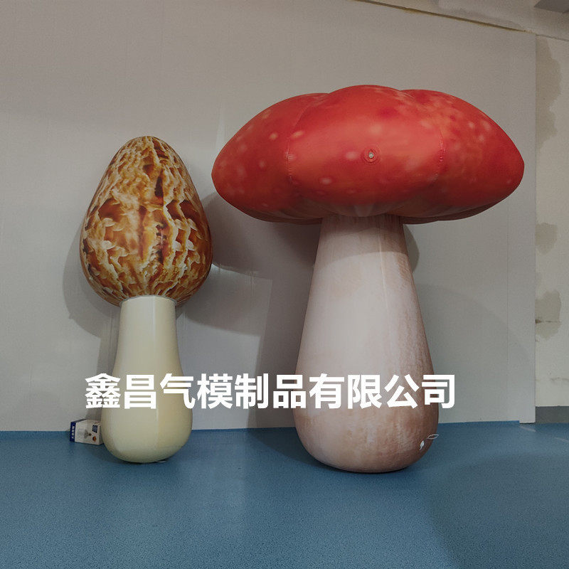 充气水果蔬菜气模 西瓜香蕉玉米火龙果PVC闭气水果榴莲菠萝气球,淘宝优惠券,粉丝福利购,淘宝优惠卷