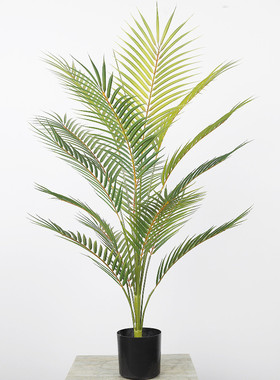 仿真双色室内植物装饰树散尾葵家居仿真绿植天竺葵批发盆栽