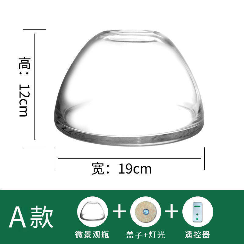 微景观玻璃瓶苔藓闷养盆器玻璃容器微观生态瓶瓶子花盆微景缸空瓶,淘宝优惠券,粉丝福利购,淘宝优惠卷