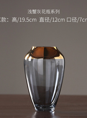 简约现代欧式玻璃花瓶透明家居插花瓶客厅餐桌水培装饰品摆件