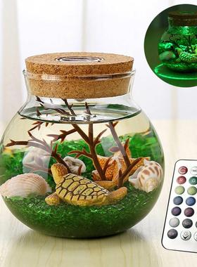 生态瓶科学diy微景观玻璃瓶小鱼生态瓶成品小学生科学课作业套装
