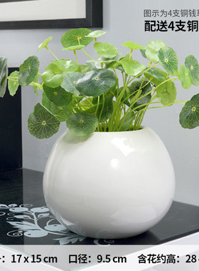 陶瓷花瓶摆件客厅装饰插花小水培器皿创意桌面铜钱草现代简约白色
