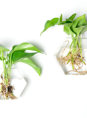 创意壁挂悬挂垂吊水培植物玻璃花瓶透明人工吹制工艺品插花器装饰