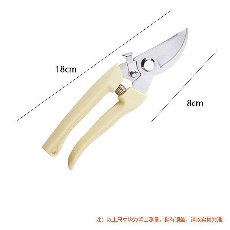 果树修剪刀园林修剪树枝专用剪刀省力园艺修花枝花艺剪子多功能厂,淘宝优惠券,粉丝福利购,淘宝优惠卷