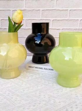 高级感ins装饰网红小众花瓶小摆件客厅插花透明水养简约玻璃花瓶