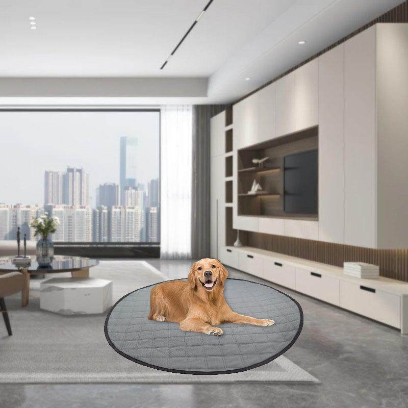 可重复使用圆形狗狗隔尿垫宠物猫咪豚鼠如厕训练垫吸水垫,淘宝优惠券,粉丝福利购,淘宝优惠卷