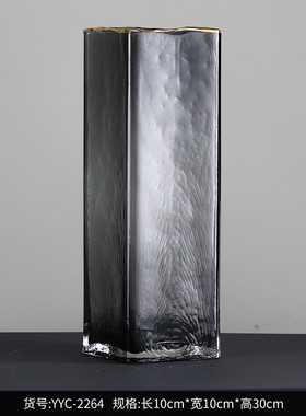 博西家居 透明简约水培玻璃花瓶摆件 客厅餐桌轻奢花器软装工艺品