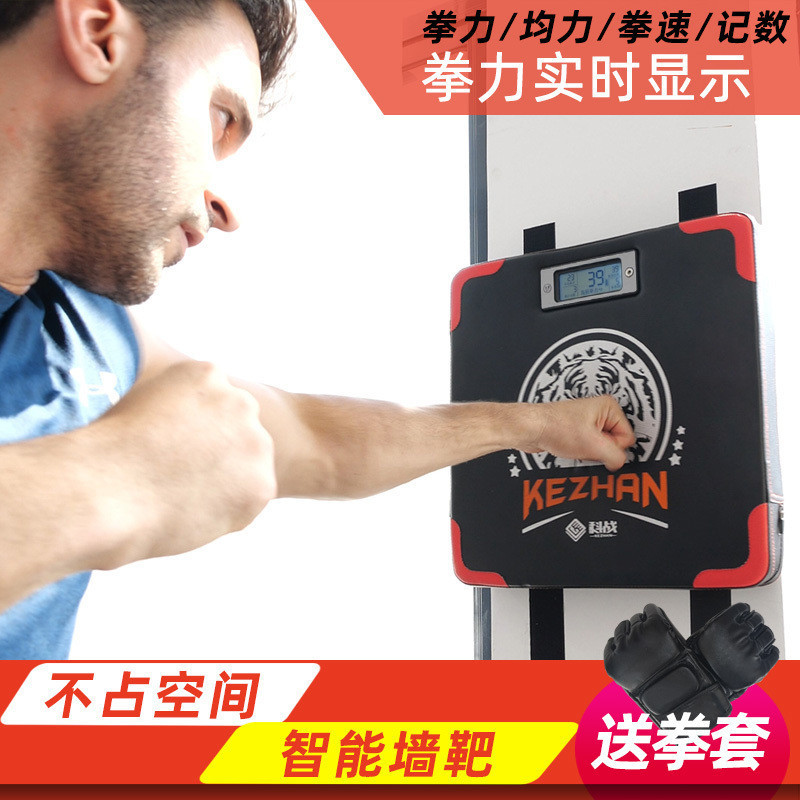 热销nrq拳击测力器测速靶训练器材成人儿童沙袋电子墙用挂墙家用 - 图0