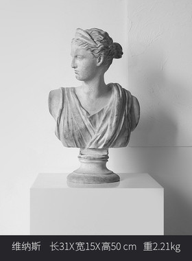 维纳斯样板间雕像摆件石膏像人像雕塑桌面软装客厅大卫家居装饰品