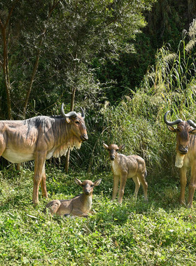 热销仿真动物角马玻璃钢摆件户外园林角马景观工程装饰庭院模型雕