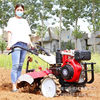 Hot-selling new agricultural two-wheel diesel hand-push micro tillage machine, strawberry ridging and furrowing machine, Dapeng machine for orchard management