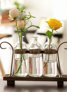 透明玻璃花瓶ins风创意复古装饰铁艺水养绿萝插花器客厅摆件批发