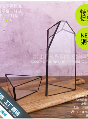 创意多肉植物玻璃瓶不规则玻璃花瓶微景观苔藓瓶diy造景瓶摆件