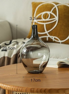 插花玻璃花瓶绿植透明摆件客厅感大肚轻奢水养大号简约落地