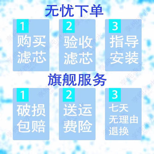 华迈净水器滤芯P30/C B款 M3款原装正品滤芯PP C RO 卡扣滤芯 - 图0