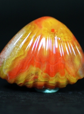 北票战国红贝壳雕件挂件吊坠项坠