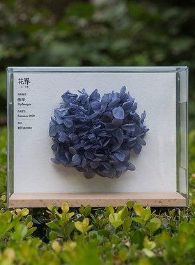 格格物花界日本进口红鲜花永生花