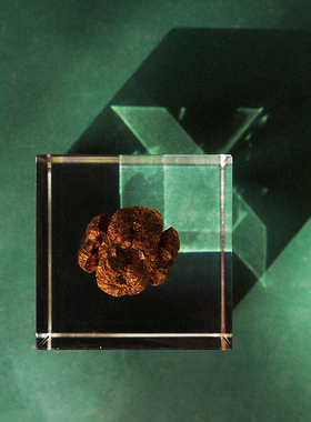 立方体摆件男朋友创意植物标本