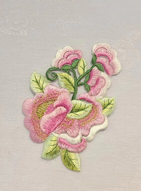 绣花补片韩服立体胸花舞蹈练功服