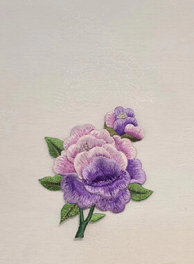 绣花补片韩服立体胸花舞蹈练功服