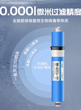 RO膜反渗透家用净水器hid惠灵顿滤芯75G400G商用纯水机净水机通用