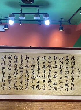 沁园春雪手写诗词字画办公室挂画