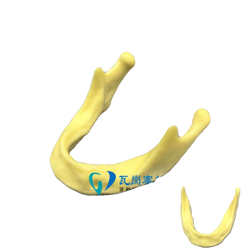 口腔种植练习模型 打孔栽钉种植实操 上颌窦提升下颌骨种植练习 - 图3