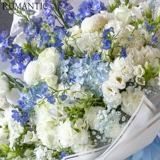 Голубая фэнтезий Queyan травяная ветра колокол цветы цветы небо звезда синий и белый натуральный ветер Букет Пекин Цветочный Экспресс