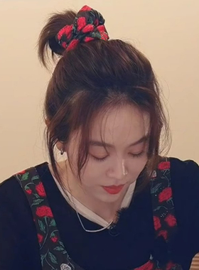 玫瑰花大肠发圈树叶黑色复古