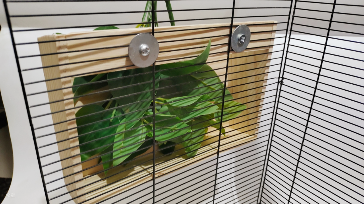 兔子实木外置草架宠物豚鼠龙猫可悬挂固定草架食草盒环保易打理,淘宝优惠券,粉丝福利购,淘宝优惠卷