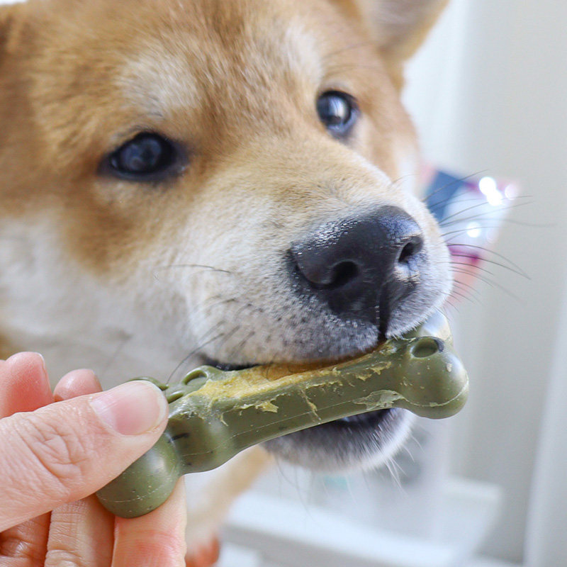 爱乐纯啵啵骨犬全犬型鸭肉南瓜褐藻洁牙去渍肉心洁齿棒耐咬磨牙骨,淘宝优惠券,粉丝福利购,淘宝优惠卷