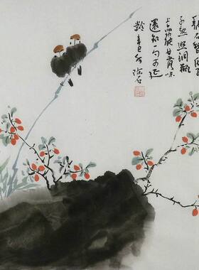 国画花鸟画手绘字画餐厅装饰画陈石三尺斗方枸杞石榴葡萄瓜果2GG