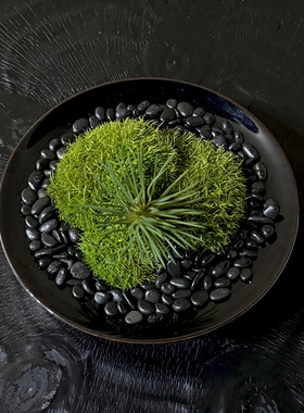 永生苔藓陶瓷花器精致苔藓摆件售楼处酒店样板间会所茶室桌面饰品