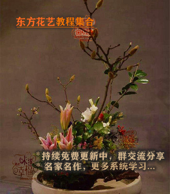 日本花盆插花 新人首单立减十元 21年12月 淘宝海外