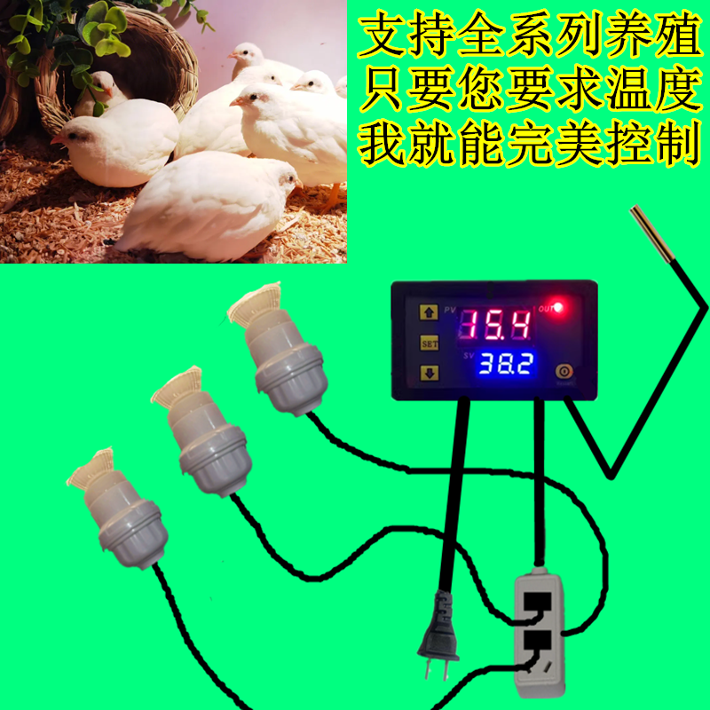 芦丁鸡小鸡育雏取暖陶瓷灯泡保温灯养殖场加热节能设备鸭鹅育雏 - 图0