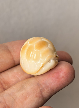炭烤象牙果配饰原果雕刻diy散装