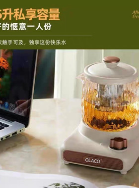 全自动多功能电炖杯全玻璃烧水杯一人小型炖煮一体养生杯热牛奶壶