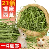 Отказываясь забирать рот, маленький кролик любит есть! Зеленые листовые стержни меньше травы