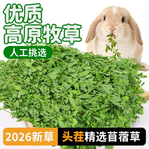苜蓿草兔子粮草紫花干草幼兔食用豚鼠吃的粮食苜宿小麦草兔粮饲料 - 图1