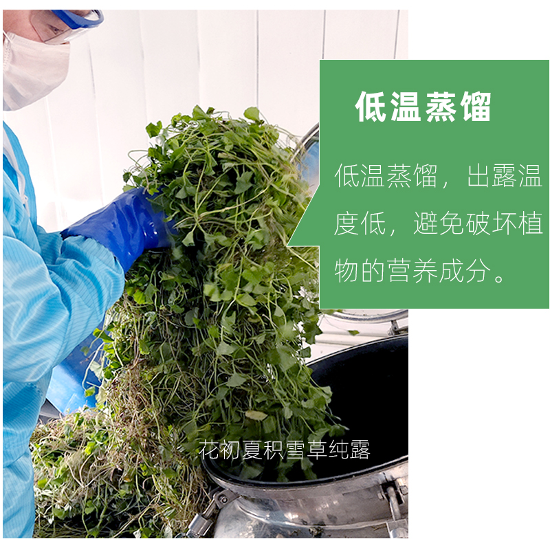 500ml积雪草纯露湿敷水胶原面膜痘印养护屏障天然保湿补水当喷雾 - 图1