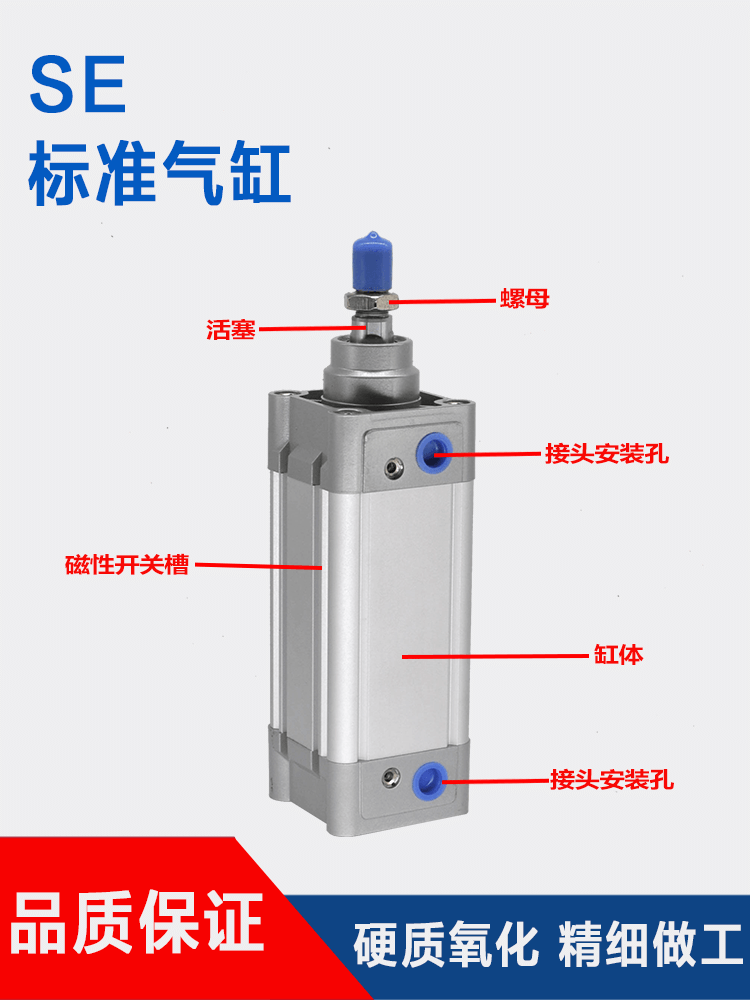 DNC标准气缸SE32-40-50-63-80X50X100X200S SEJ带磁可调气缸PPV-A - 图2